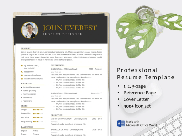 Download Professional CV Resume Template Word - Resume template word Collection