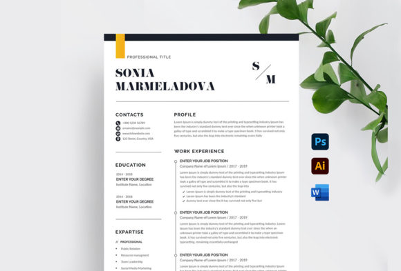 Download Minimalist Resume Template Word - Resume template word Collection