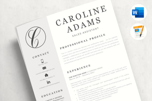Download Sales Assistant Professional Resume Template with Logotype - Resume template Collection